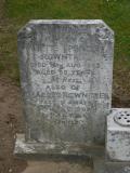 image of grave number 238597